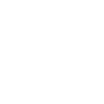 european auto repair alpharetta