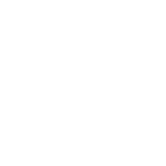 european auto repair alpharetta